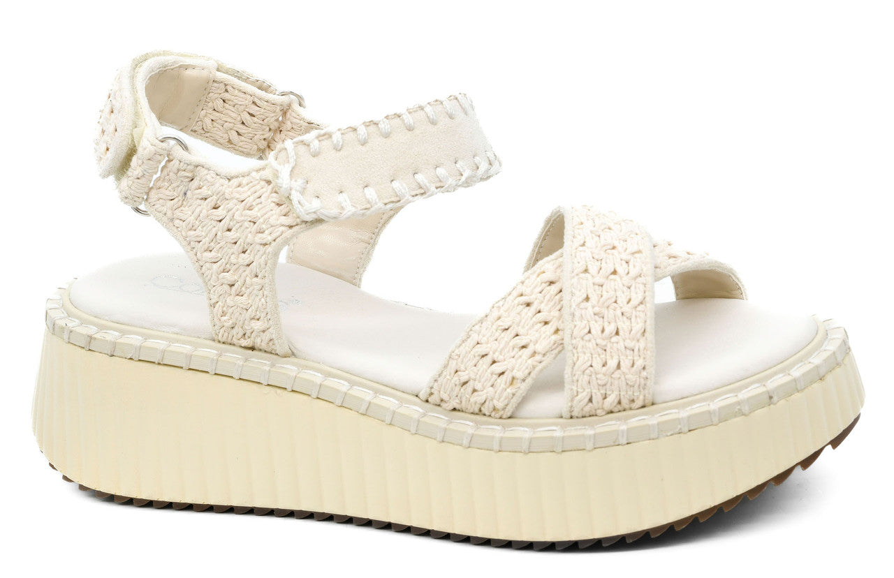 Wave Wedges
